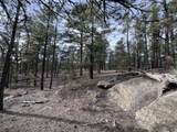 20127 Blue Jay Lane - Photo 5
