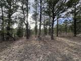 20127 Blue Jay Lane - Photo 7