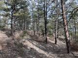 20127 Blue Jay Lane - Photo 8