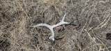 TBD Six Point Rd - Photo 14