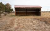 225 IL Ranch Rd - Photo 39