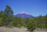 23519 Monarch Rd - Photo 47