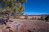23519 Monarch Rd - Photo 48