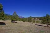 23519 Monarch Rd - Photo 55