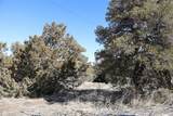  Spanish Peaks Village - Photo 16