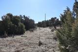  Spanish Peaks Village - Photo 7