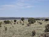 136 Turkey Ridge Ranch - Photo 10