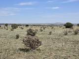 136 Turkey Ridge Ranch - Photo 12