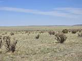 136 Turkey Ridge Ranch - Photo 16