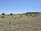136 Turkey Ridge Ranch - Photo 2