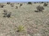 136 Turkey Ridge Ranch - Photo 8