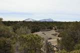 311 Navajo Rd - Photo 5