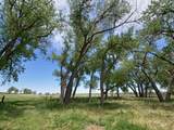 3701 Co Rd 230 - Photo 41