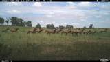 3701 Co Rd 230 - Photo 44