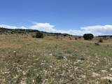 Lot 17 Longhorn Ranch - Photo 1