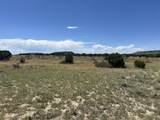 Lot 17 Longhorn Ranch - Photo 2