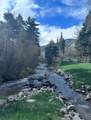 50 Lake Trail - Photo 31