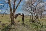 17055 Co Rd 81 - Photo 46