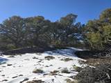 16 Navajo Ranch Resorts - Photo 10