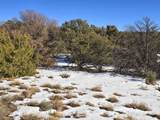 16 Navajo Ranch Resorts - Photo 12