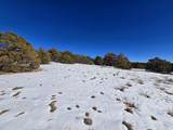 16 Navajo Ranch Resorts - Photo 15