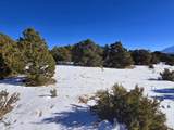 16 Navajo Ranch Resorts - Photo 16