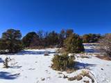 16 Navajo Ranch Resorts - Photo 18