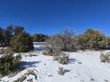 16 Navajo Ranch Resorts - Photo 20