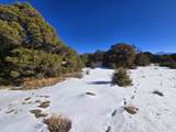 16 Navajo Ranch Resorts - Photo 21