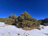 16 Navajo Ranch Resorts - Photo 22