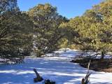 16 Navajo Ranch Resorts - Photo 4
