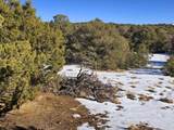 16 Navajo Ranch Resorts - Photo 9