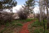 703 Francisco St - Photo 55