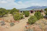 3616 Schieffelin Rd - Photo 2