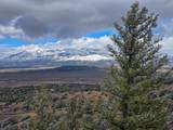 3616 Schieffelin Rd - Photo 37