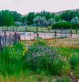 40 Co Rd 541 - Photo 43