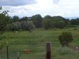 40 Co Rd 541 - Photo 49