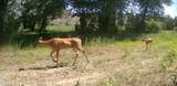 40 Co Rd 541 - Photo 53
