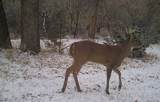 40 Co Rd 541 - Photo 55