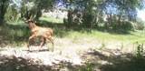 40 Co Rd 541 - Photo 56