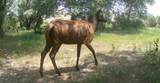 40 Co Rd 541 - Photo 57