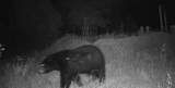 40 Co Rd 541 - Photo 58