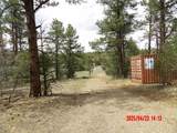 23704 Verde Loma - Photo 10