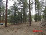 23704 Verde Loma - Photo 12