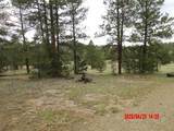 23704 Verde Loma - Photo 13