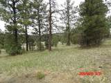 23704 Verde Loma - Photo 14