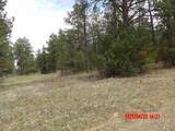 23704 Verde Loma - Photo 15