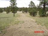 23704 Verde Loma - Photo 16