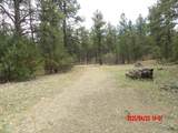 23704 Verde Loma - Photo 17
