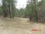 23704 Verde Loma - Photo 9